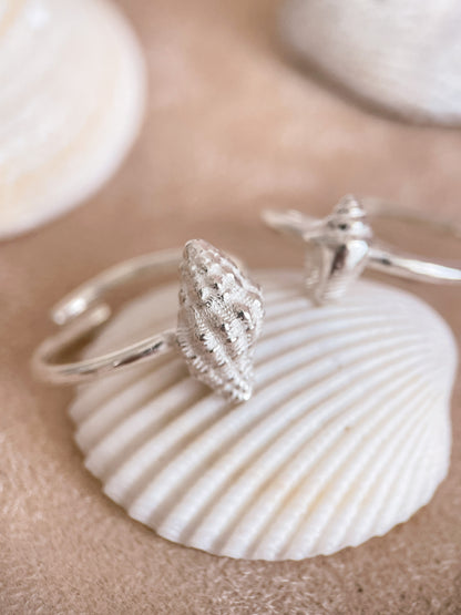 Shell rings