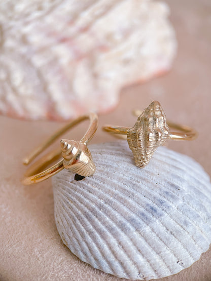 Shell rings